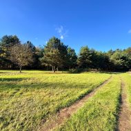 Działki na sprzedaż Nowa Dąbrówka | 3283 m² | Novo Home